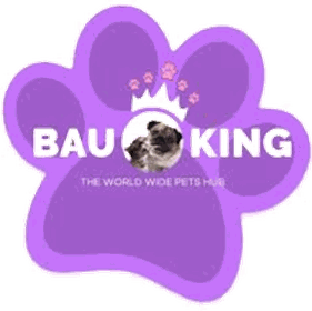 Bauking